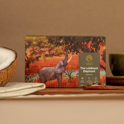 The Laidback Elephant