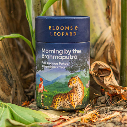 Morning by the Brahmaputra