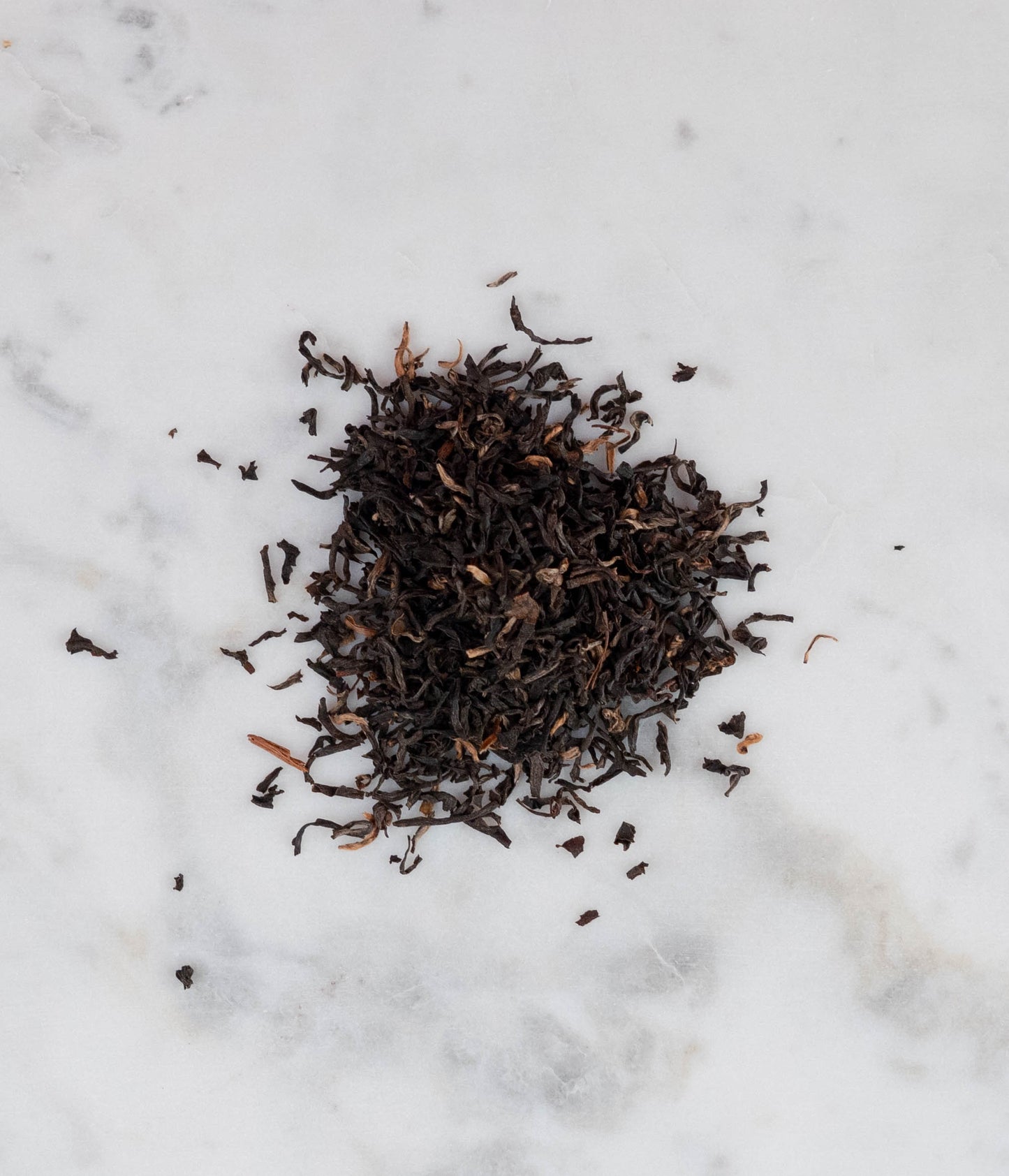 Morning by the Brahmaputra