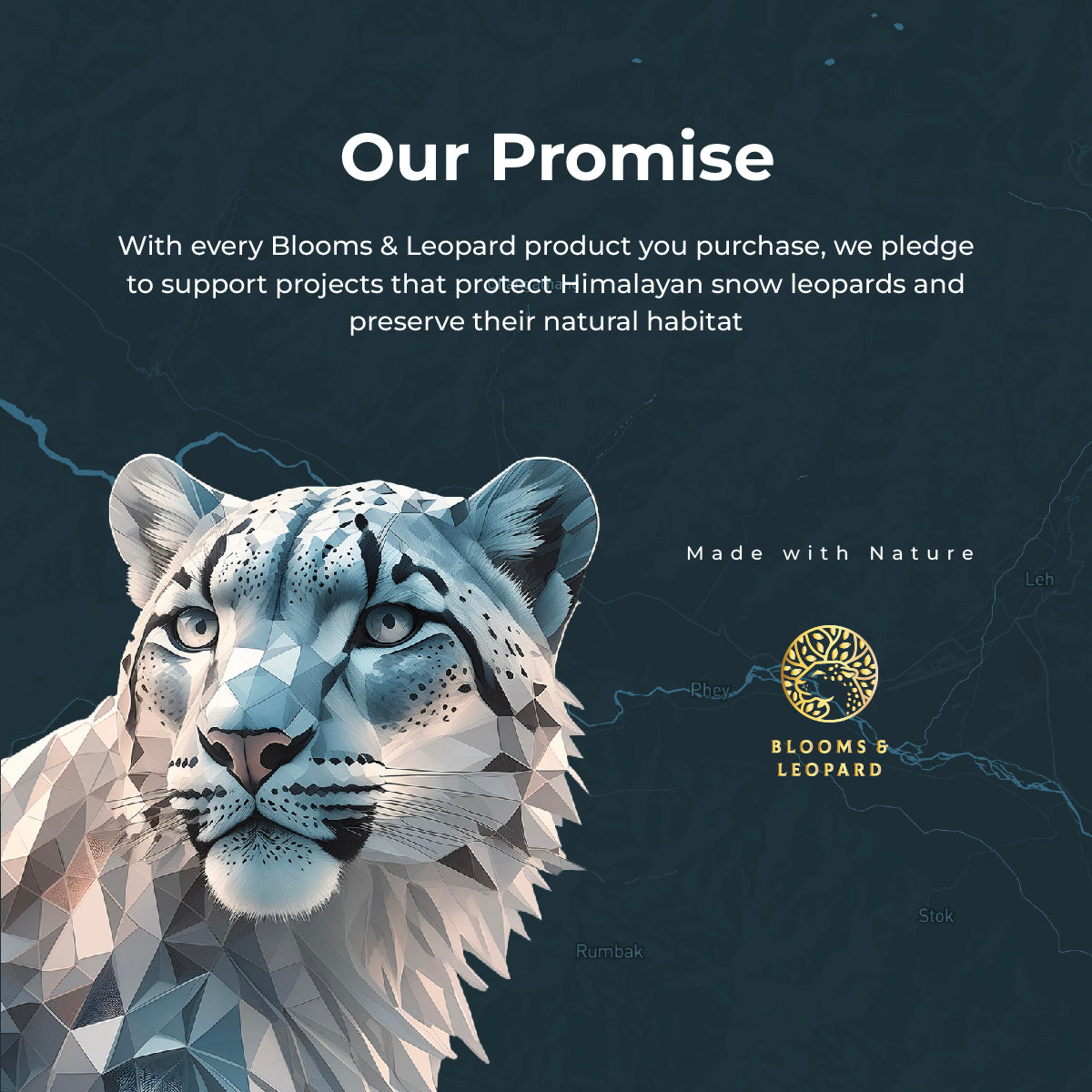 The Laidback Elephant