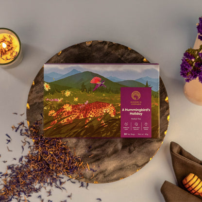 A Hummingbird's Holiday