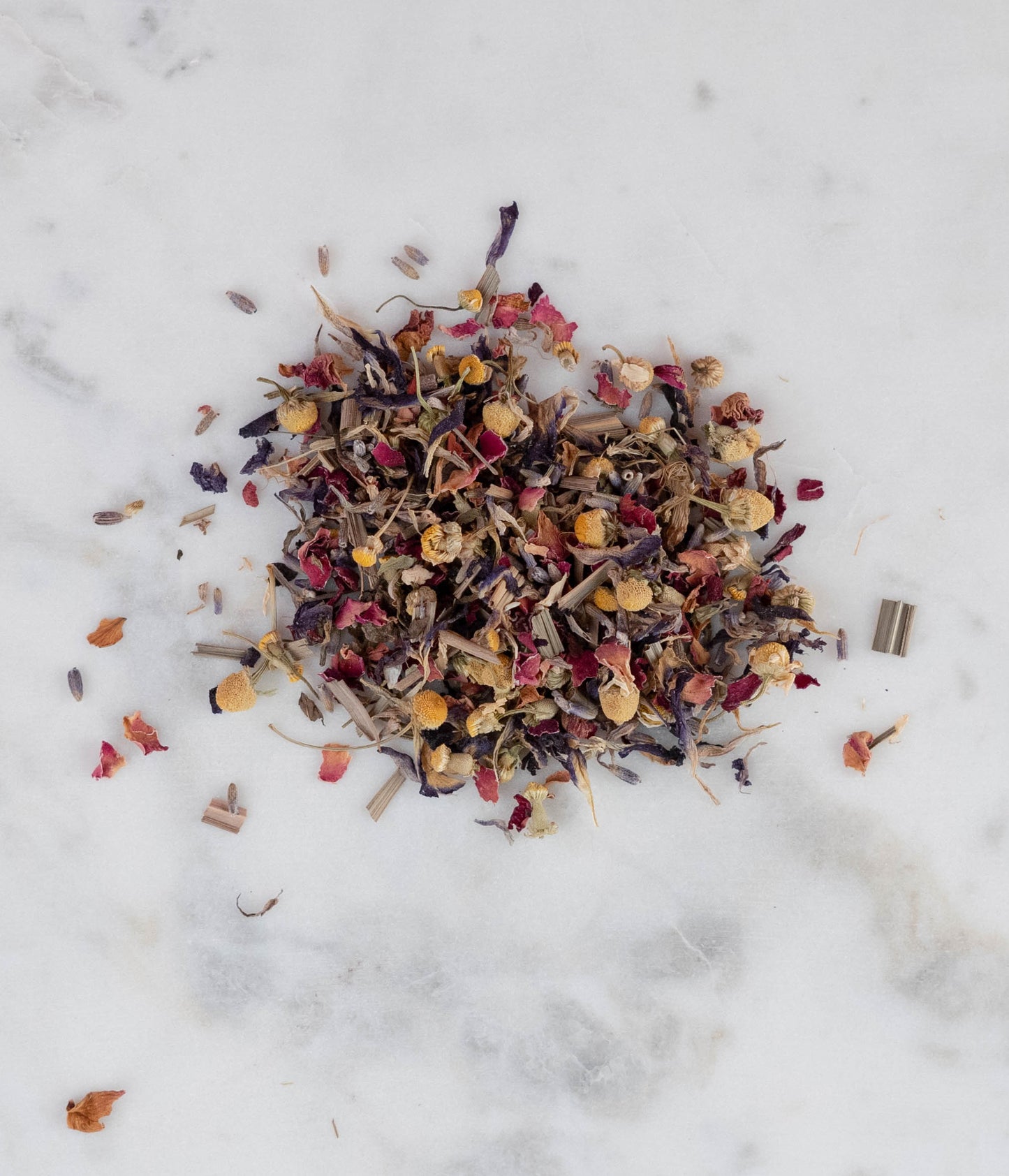 A Hummingbird's Holiday